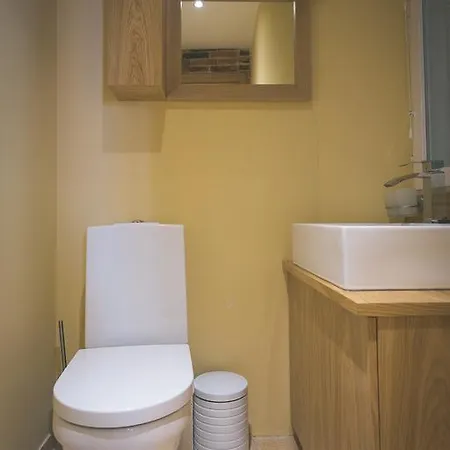 阿林娜格斯特公寓 *